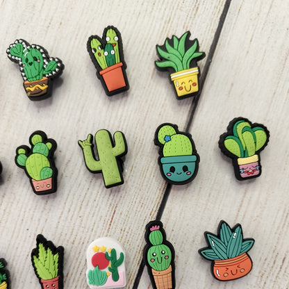 Cactus and Succulents